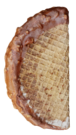 taco-c